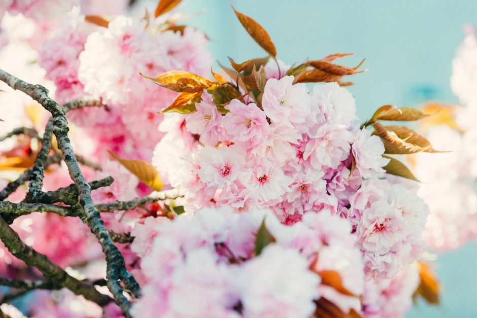 Late May Weather: Nearly Perfect Conditions