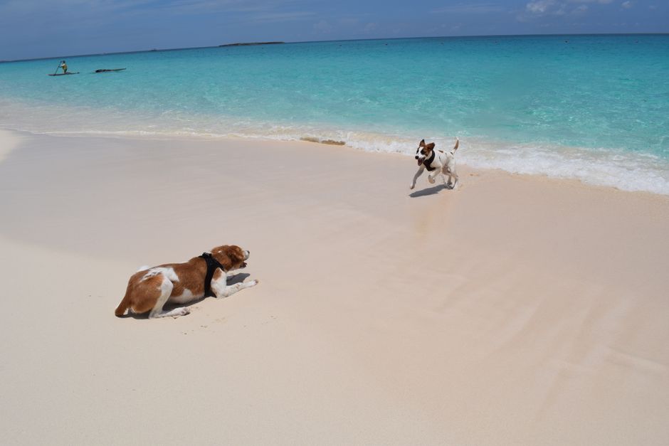 気候（A）